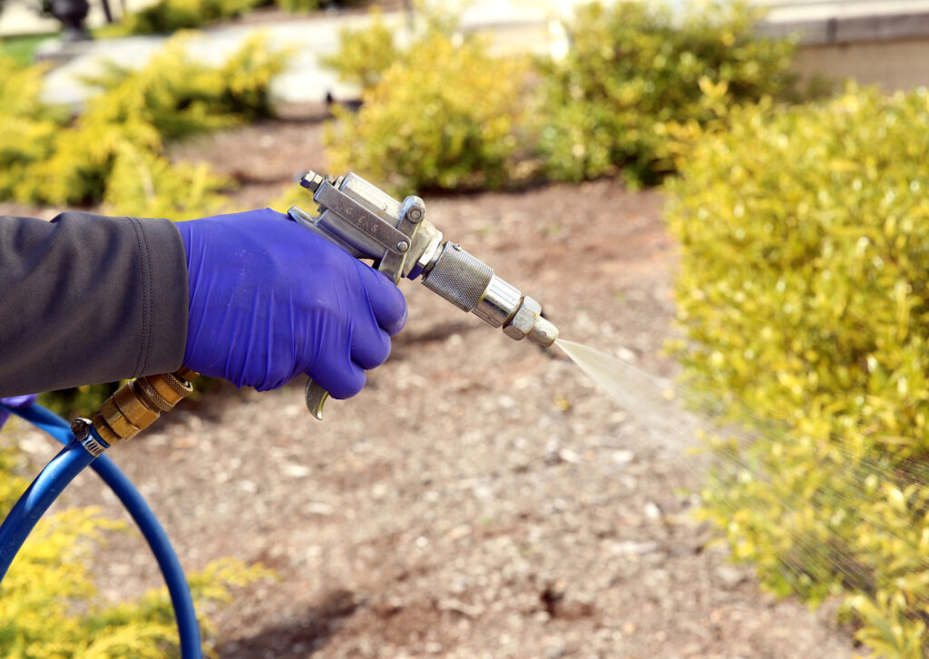 Are pest control chemicals safe