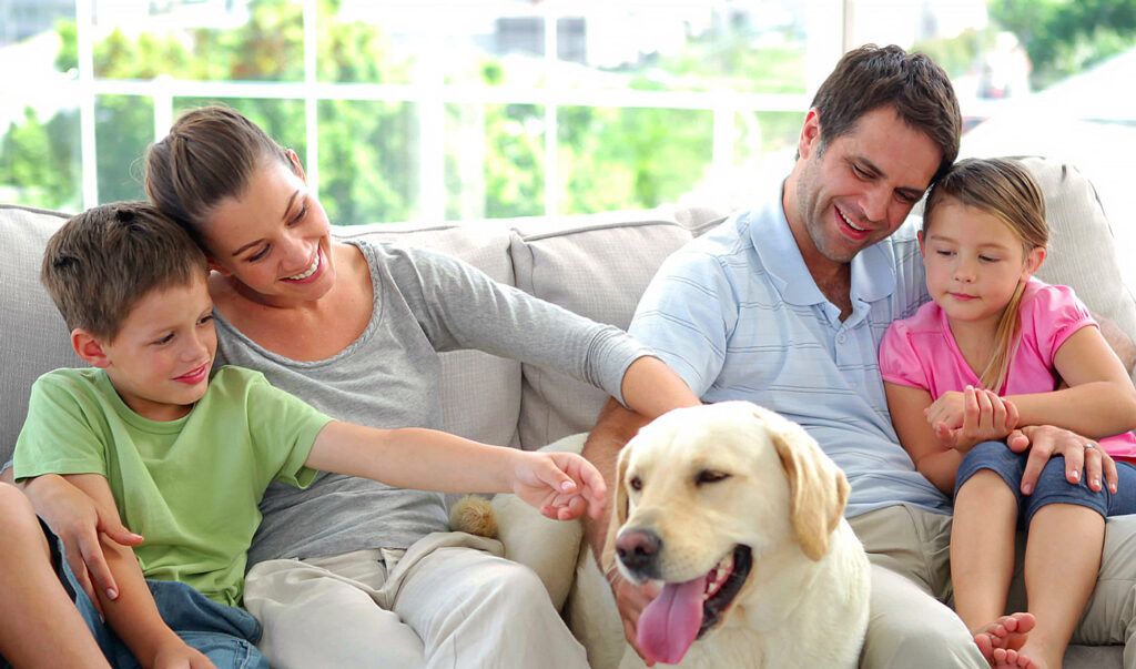 Pest control with pets