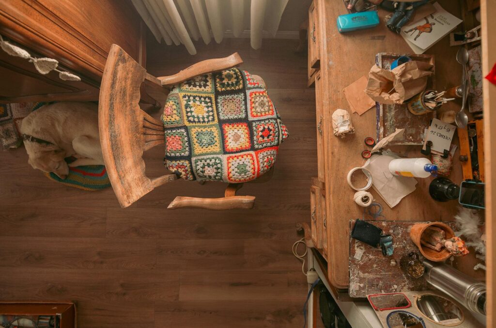 clutter attracting pests indoors